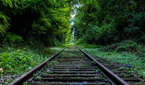 重疾险和医疗险区别详解：如何选择最适合你的保障？